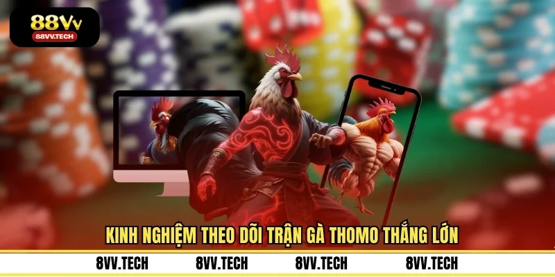 Kinh nghiệm theo dõi trận gà Thomo thắng lớn