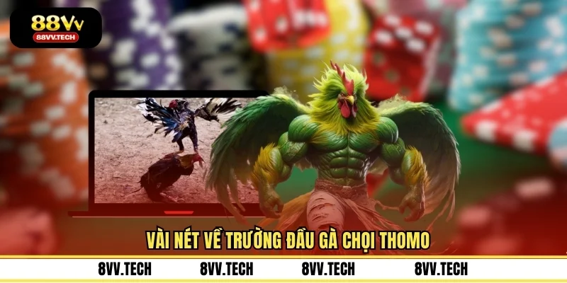Vài nét về trường đầu gà chọi Thomo